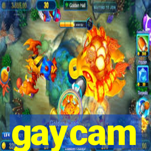 gaycam