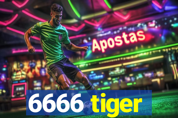 6666 tiger