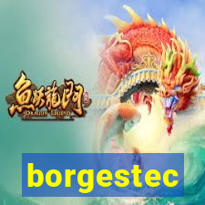 borgestec