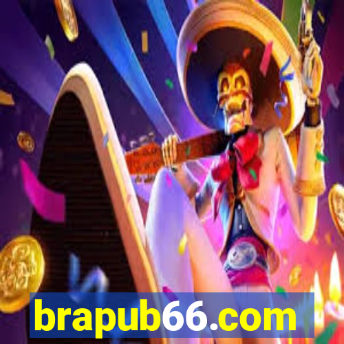 brapub66.com