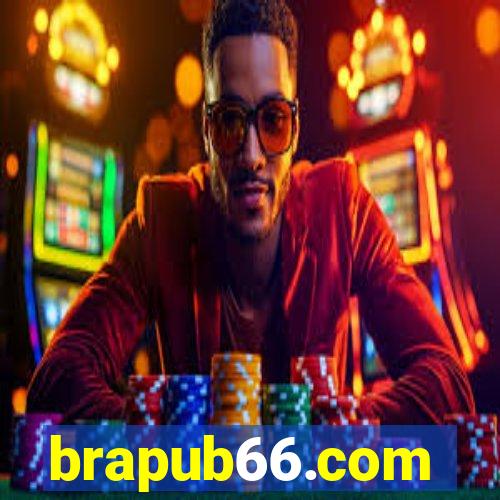 brapub66.com