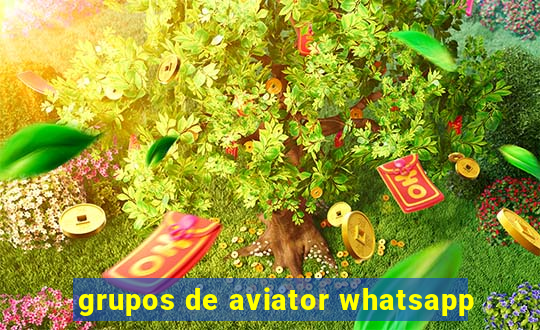 grupos de aviator whatsapp