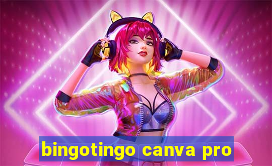 bingotingo canva pro